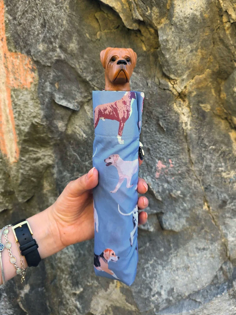 Fulton Curio Dog Handle Folding Umbrella | UPF 50+ UV Protection | Compact and Fun