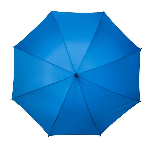 The Atria Automatic Walking Umbrella | Auto Open | 103cm Canopy | Hook Handle