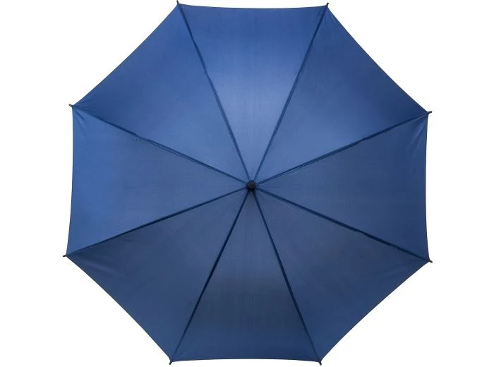 The Atria Automatic Walking Umbrella | Auto Open | 103cm Canopy | Hook Handle