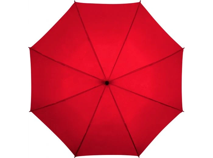 The Atria Automatic Walking Umbrella | Auto Open | 103cm Canopy | Hook Handle