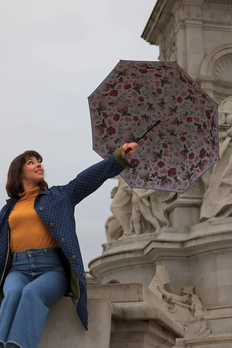National Gallery Bloomsbury Walking Umbrella - Bosschaert Blushed Blooms | Double Canopy | Auto Open