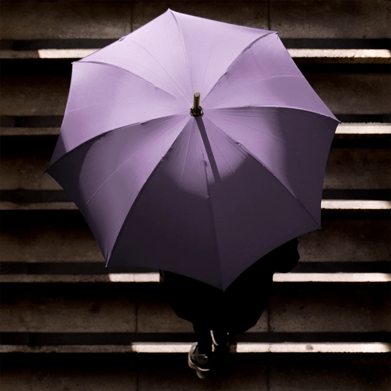 Parapluie en chêne pour femme - Lilas