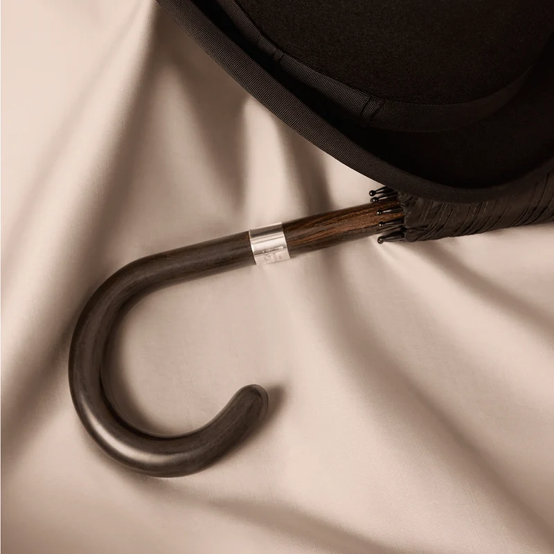 Parapluie rayé pour homme, motif cerisier - Marron
