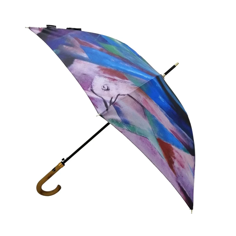 StormKing Auto Walking Artist Umbrella - Franz Marc Birds | Fibreglass Frame | Wood Handle | 100cm
