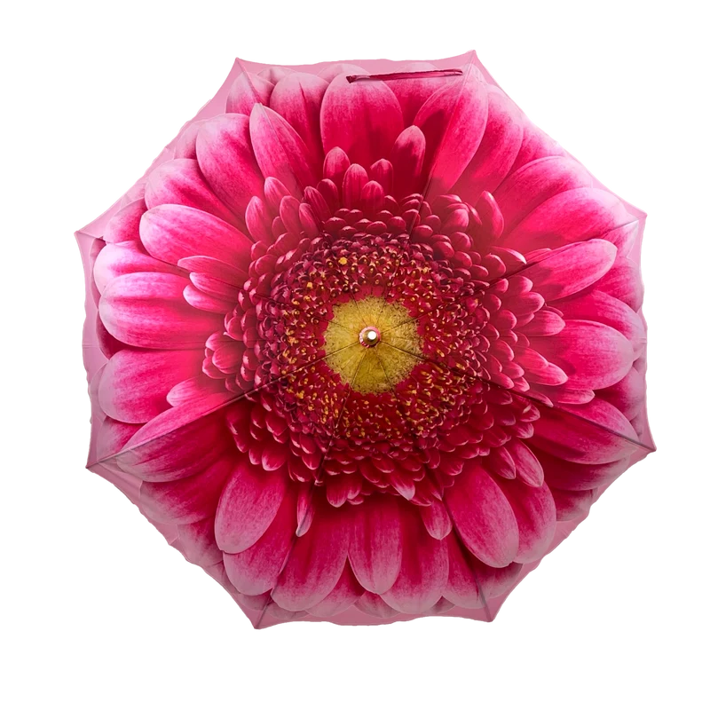 StormKing Auto Folding Nature Umbrella - Gerbera Daisy Pink | Auto Open & Close | Gift Boxed | 103cm