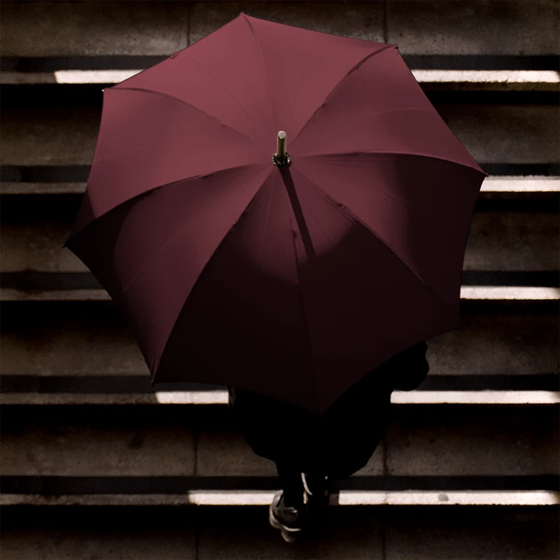 Parapluie pour homme en châtaignier poli - Bordeaux