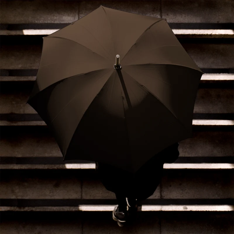 Parapluie pour homme en châtaignier poli - Marron