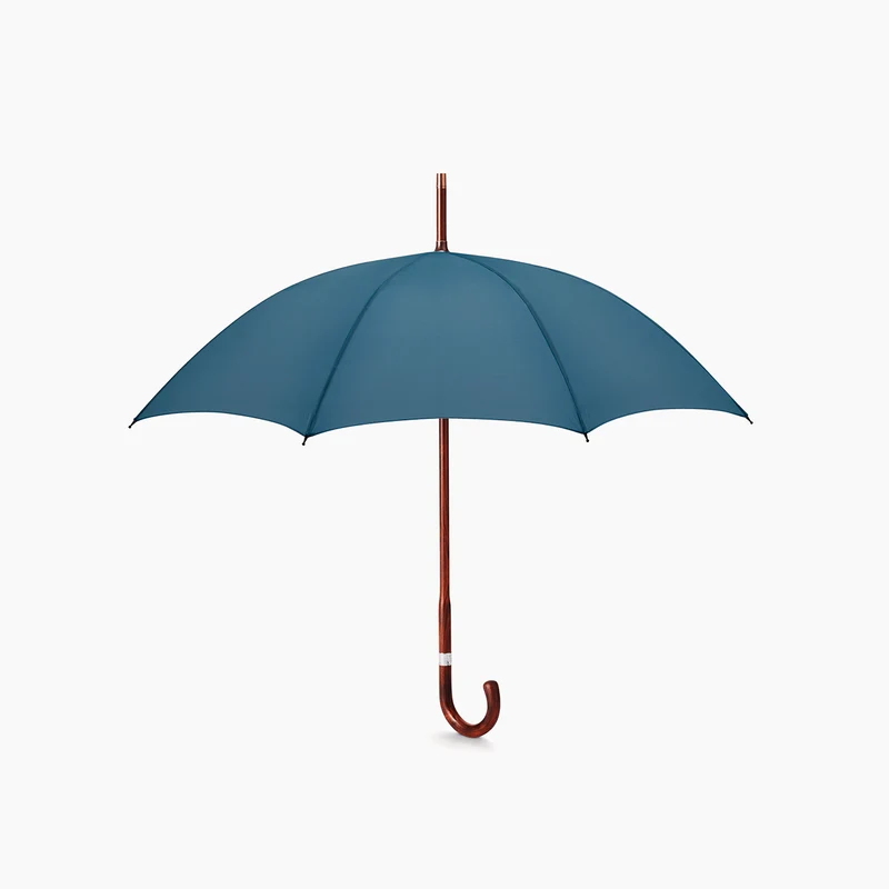 Parapluie rayé pour homme, motif cerisier - Bleu marine français