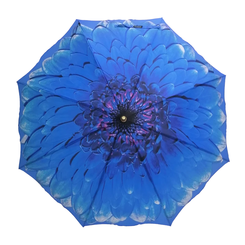 StormKing Auto Folding Nature Umbrella - Blue Daisy | Auto Open & Close | Gift Boxed | 103cm