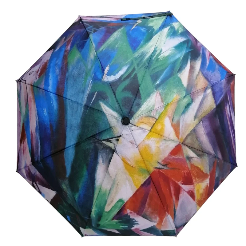 StormKing Auto Folding Artist Umbrella - Franz Marc Birds | Auto Open & Close | Gift Boxed | 103cm