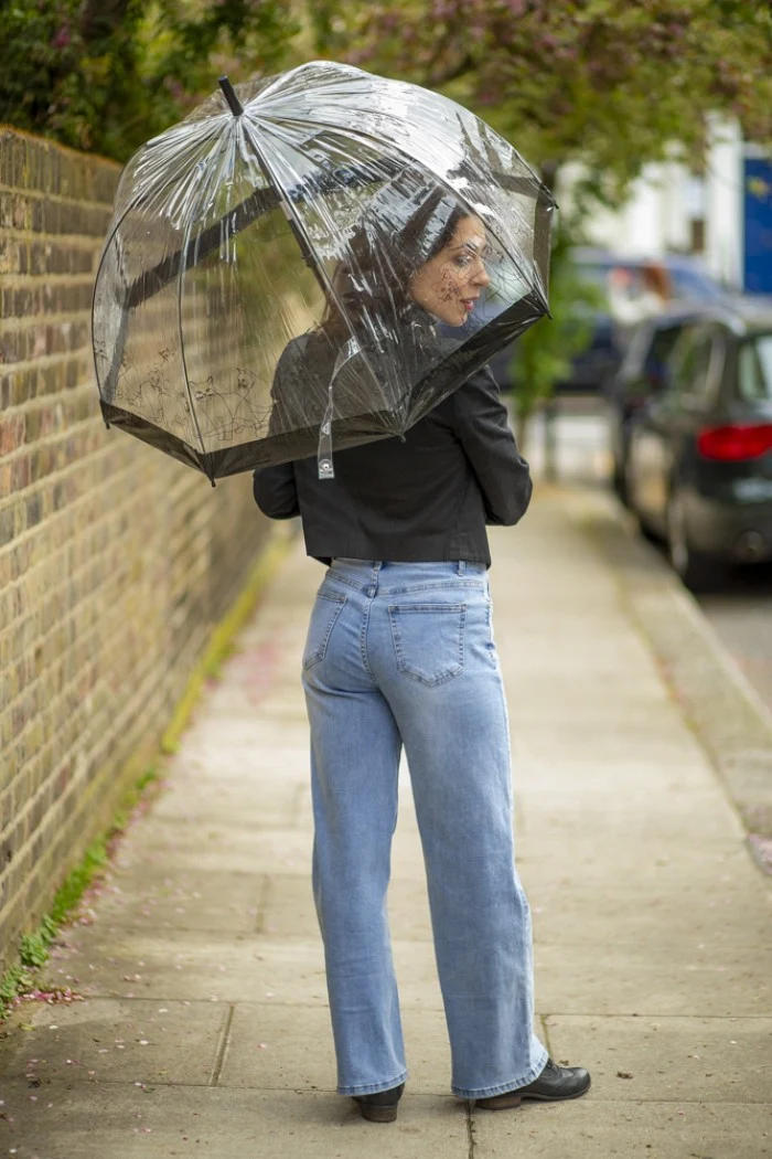 Fulton Birdcage Clear Dome Umbrella - Cats | Transparent Walking Umbrella | Wind Resistant