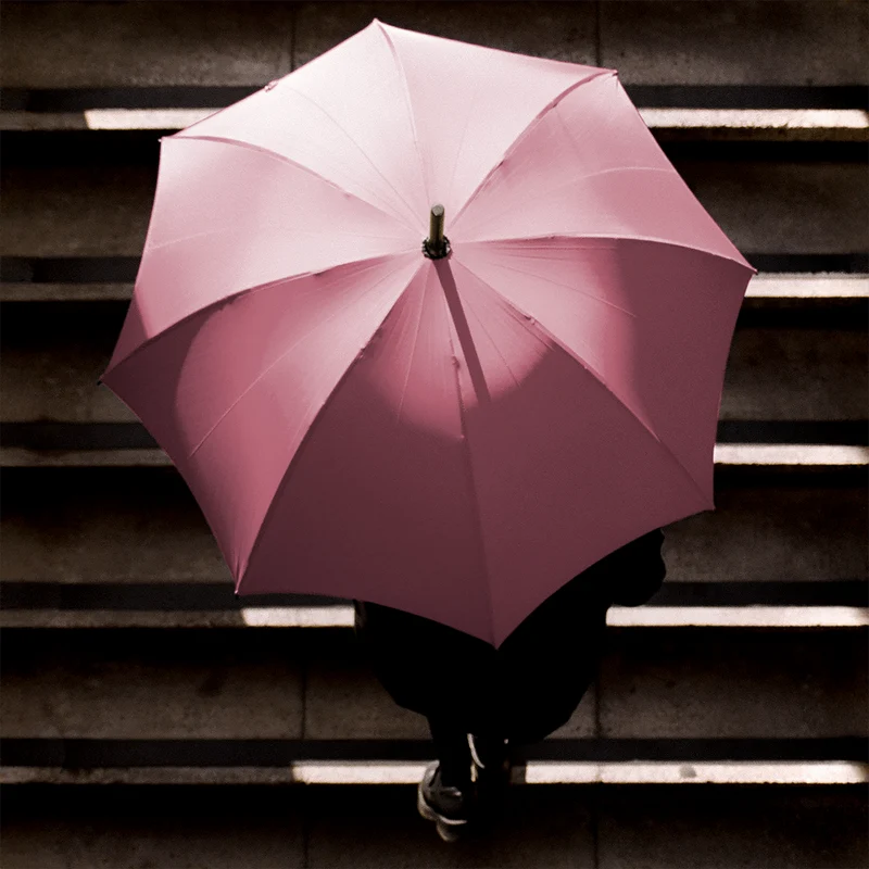 Parapluie en érable pour homme - Rose