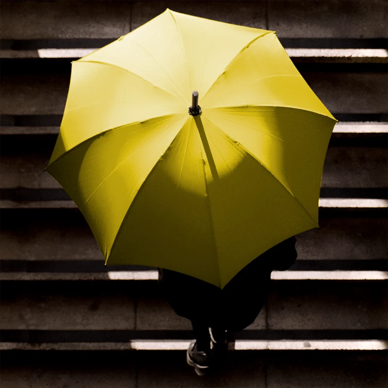 Parapluie en noyer pour homme - Jaune