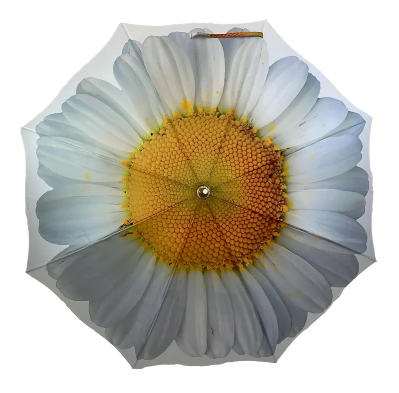 StormKing Auto Folding Floral Umbrella - White Daisy | Auto Open & Close | Gift Boxed | 103cm