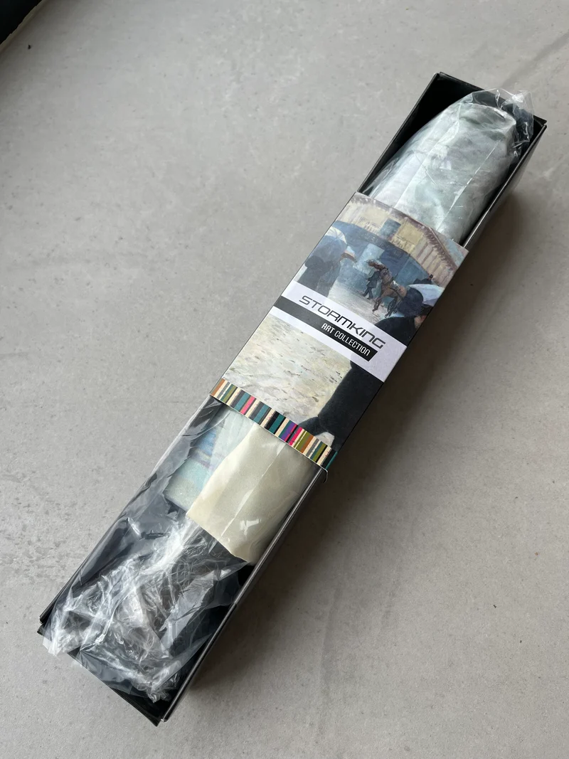 StormKing Auto Folding Artist Umbrella - Caillebotte Rainy Day in Paris | Auto Open & Close | Gift Boxed | 103cm