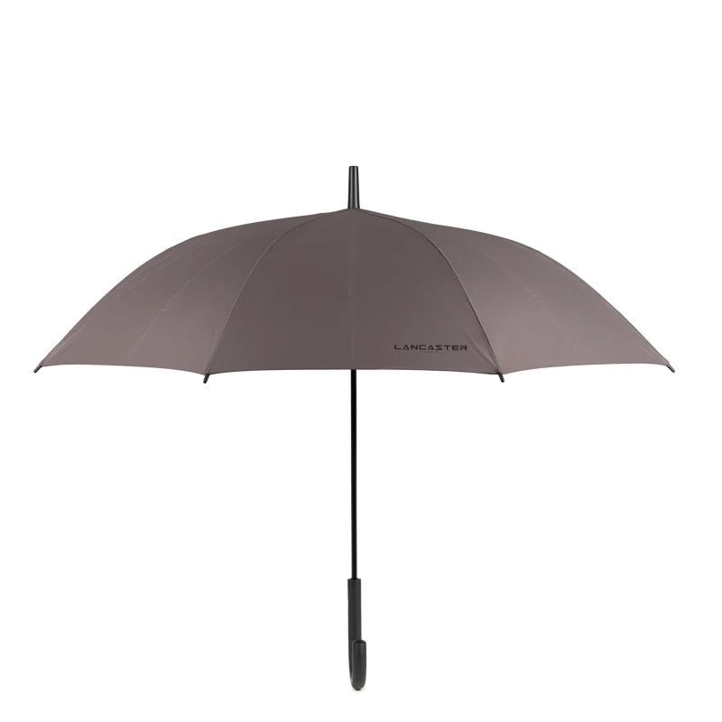 Parapluie - Accessoires Parapluies