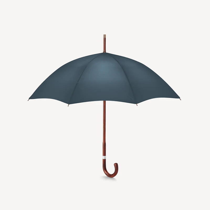Parapluie rayé pour femme, motif cerise - Bleu marine français