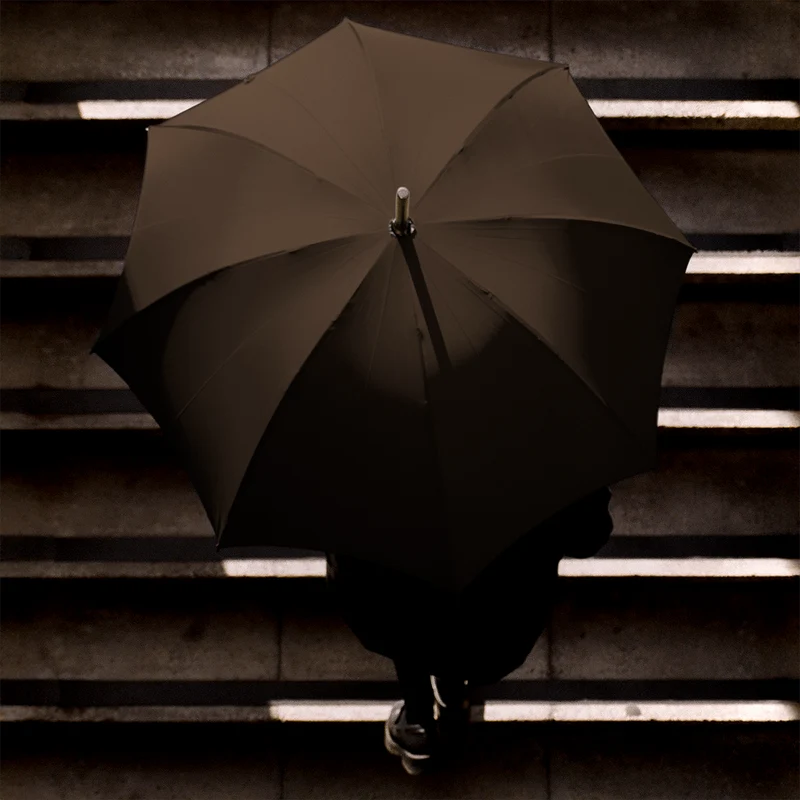 Parapluie en noyer pour homme - Marron