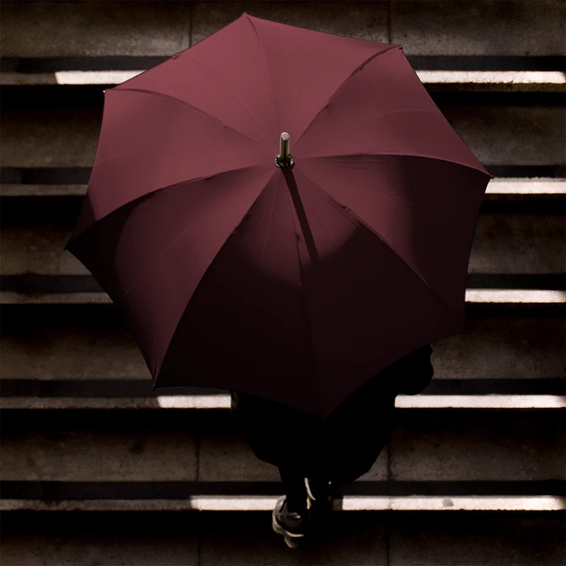 Parapluie en chêne pour homme - Bordeaux