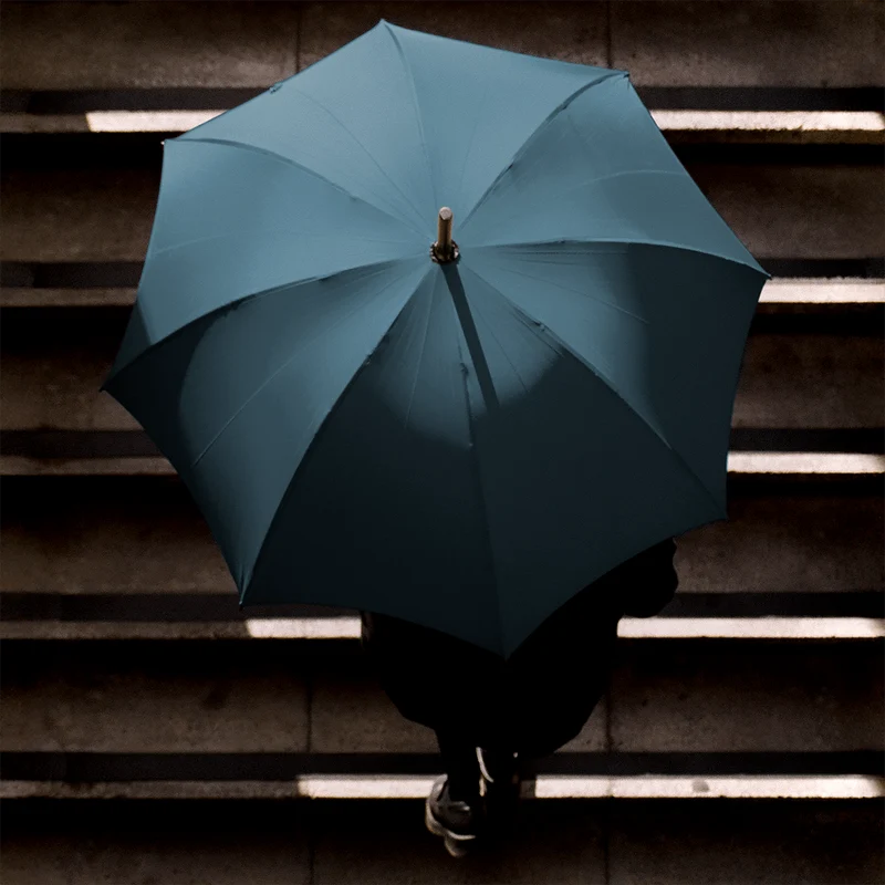 Parapluie en chêne pour homme - Bleu marine français