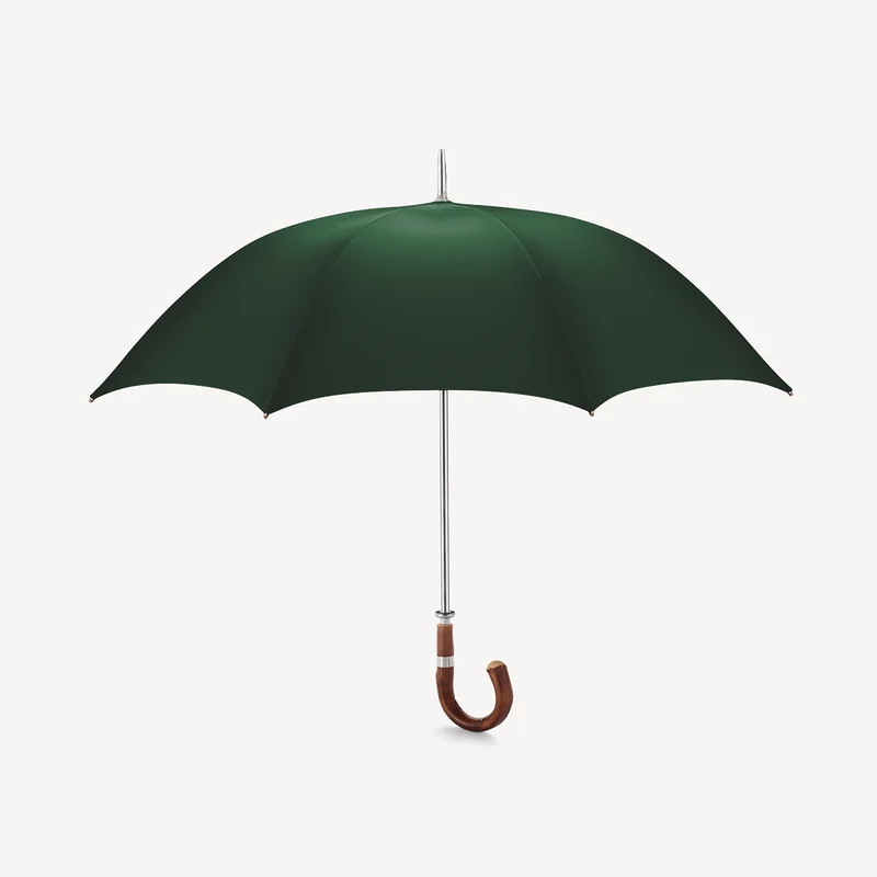 Parapluie de golf à poignée en forme de crosse - Vert jaguar