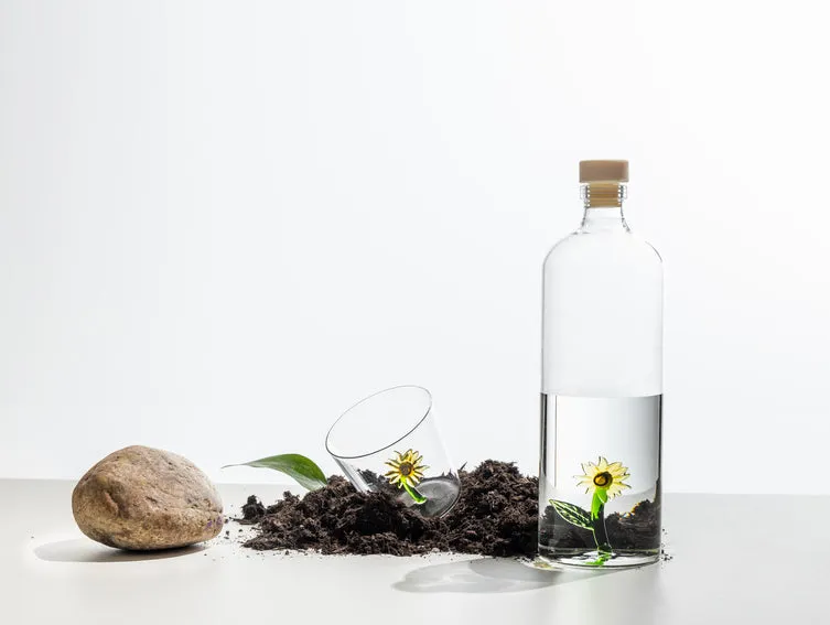 Ichendorf Botanica Verre - Daisy