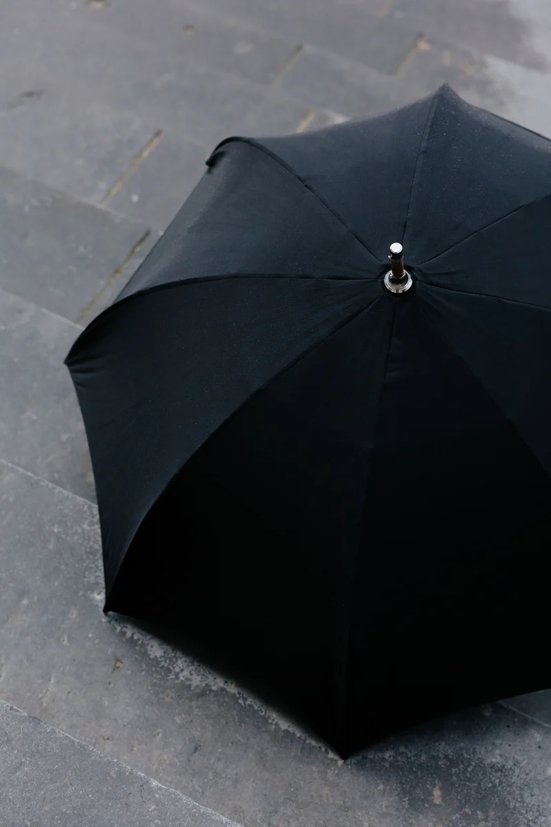 Parapluie Monté - Excellence 1705 - Noir Intemporel