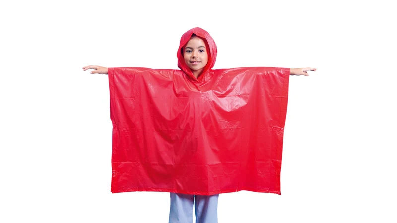 Poncho TEO