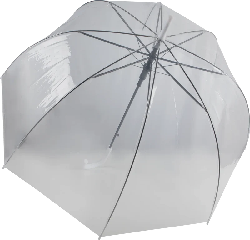 KI2024 - Parapluie transparent