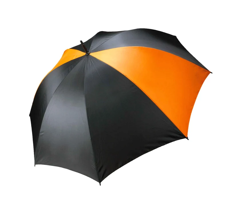 KI2004 - Parapluie tempête