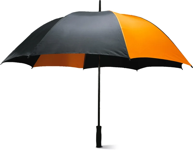 KI2004 - Parapluie tempête