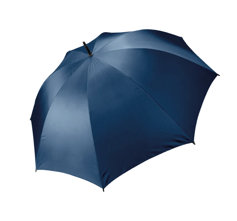 KI2004 - Parapluie tempête