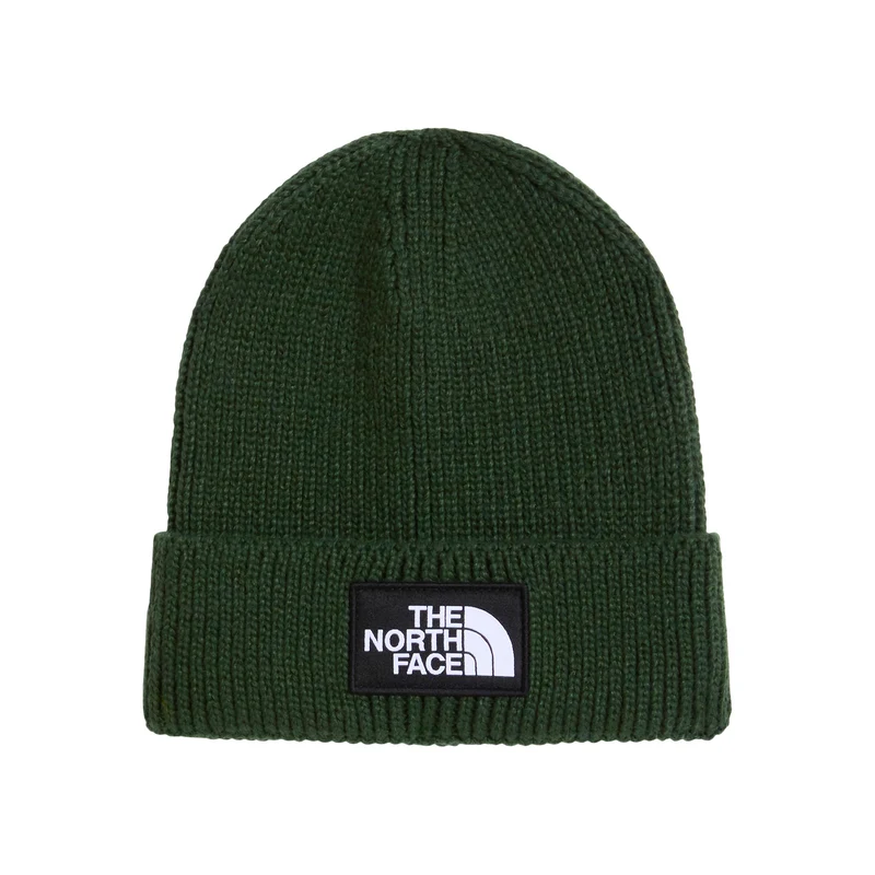 Bonnet Recyclé TNF Logo Box vert bouteille THE NORTH FACE