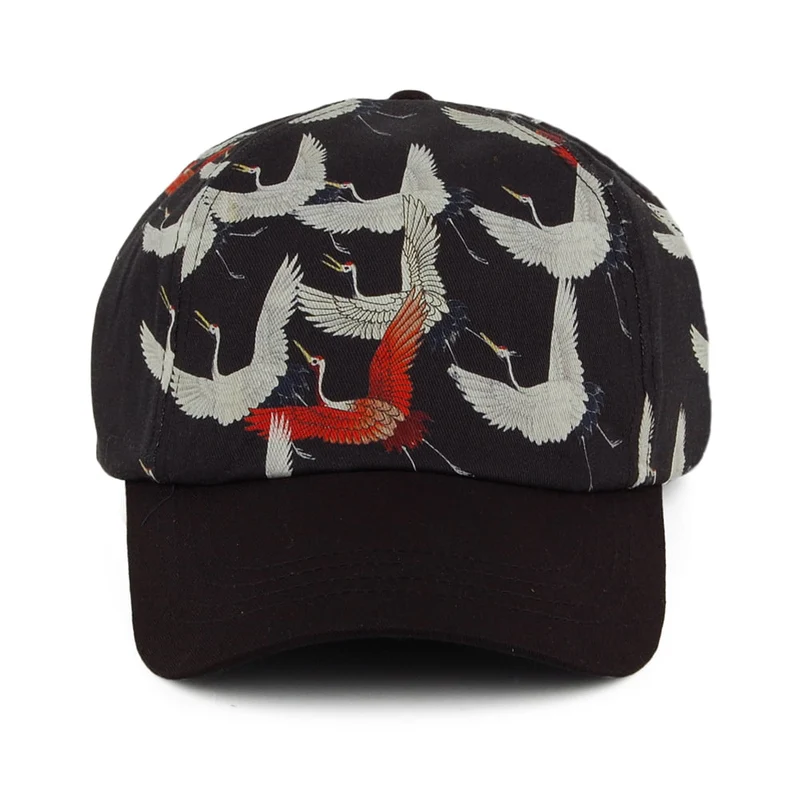 Casquette Cranebird noir BARTS