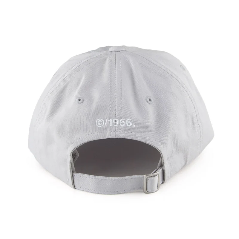 Casquette Norm gris clair THE NORTH FACE