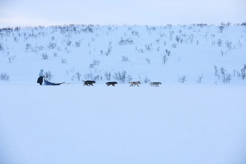 Tundra anojakka 2.0