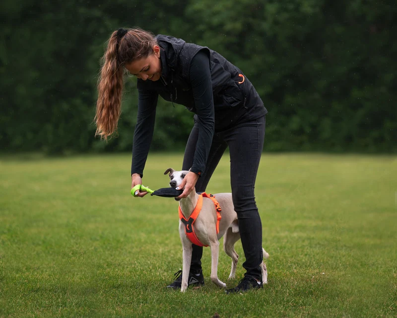 Obedience vest women's