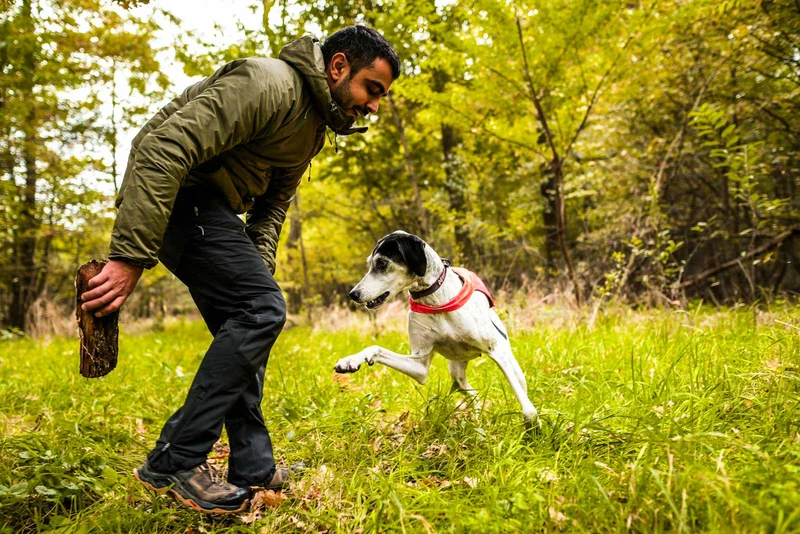 Trail isolator jacket 2.0 men's