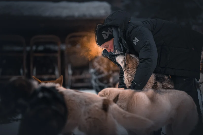 Arctic jakka 3.0