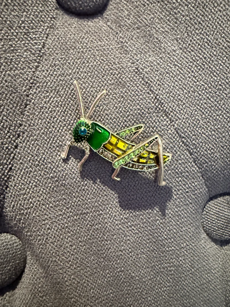 Broche sauterelle