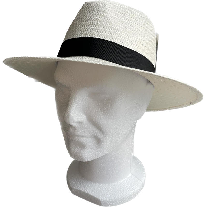 Chapeau Homme type Panama