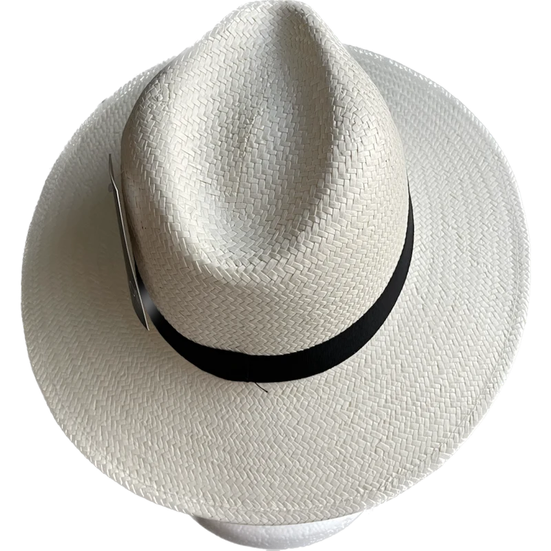 Chapeau Homme type Panama