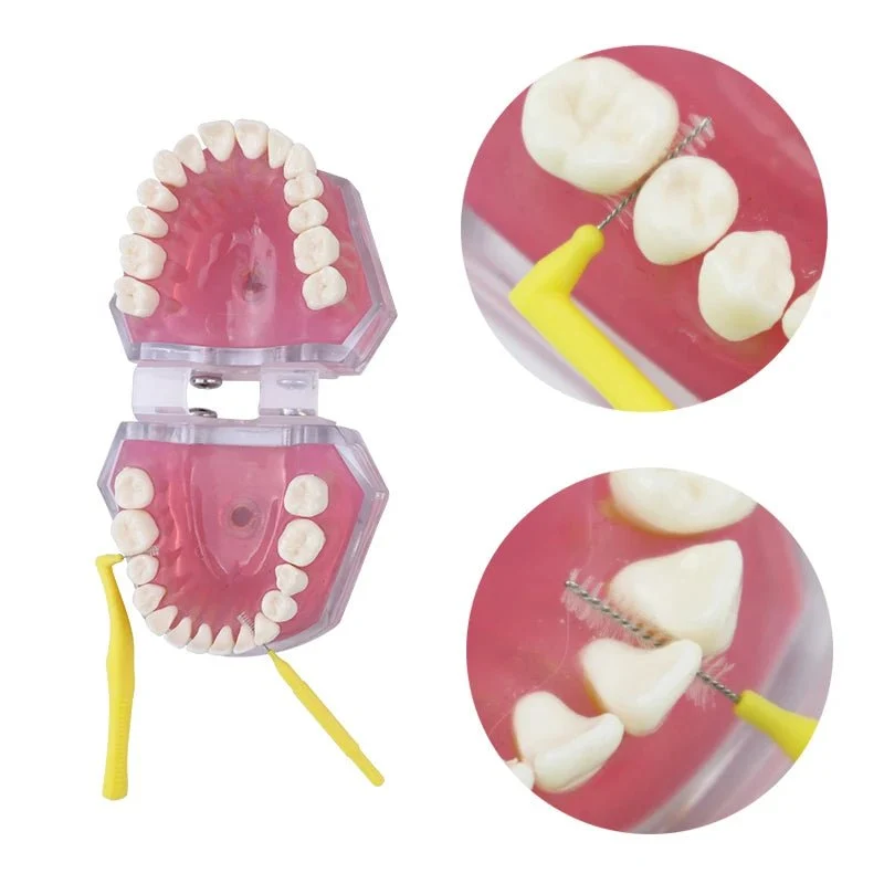 Kits hygiène portable de voyage avec brosse à dents et nettoyage dentaire "E-LUCK - EH034"
