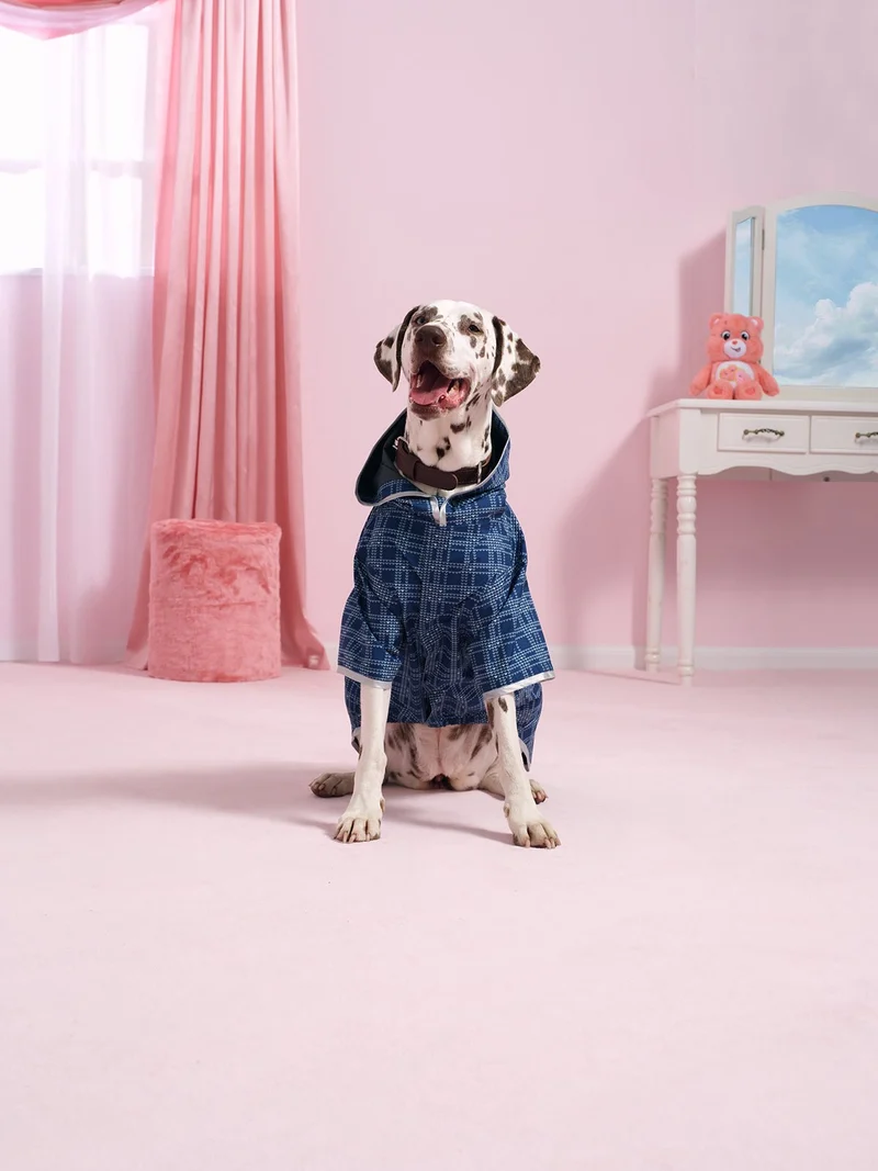 Boulogne - Imperméable pour chien Bisounours