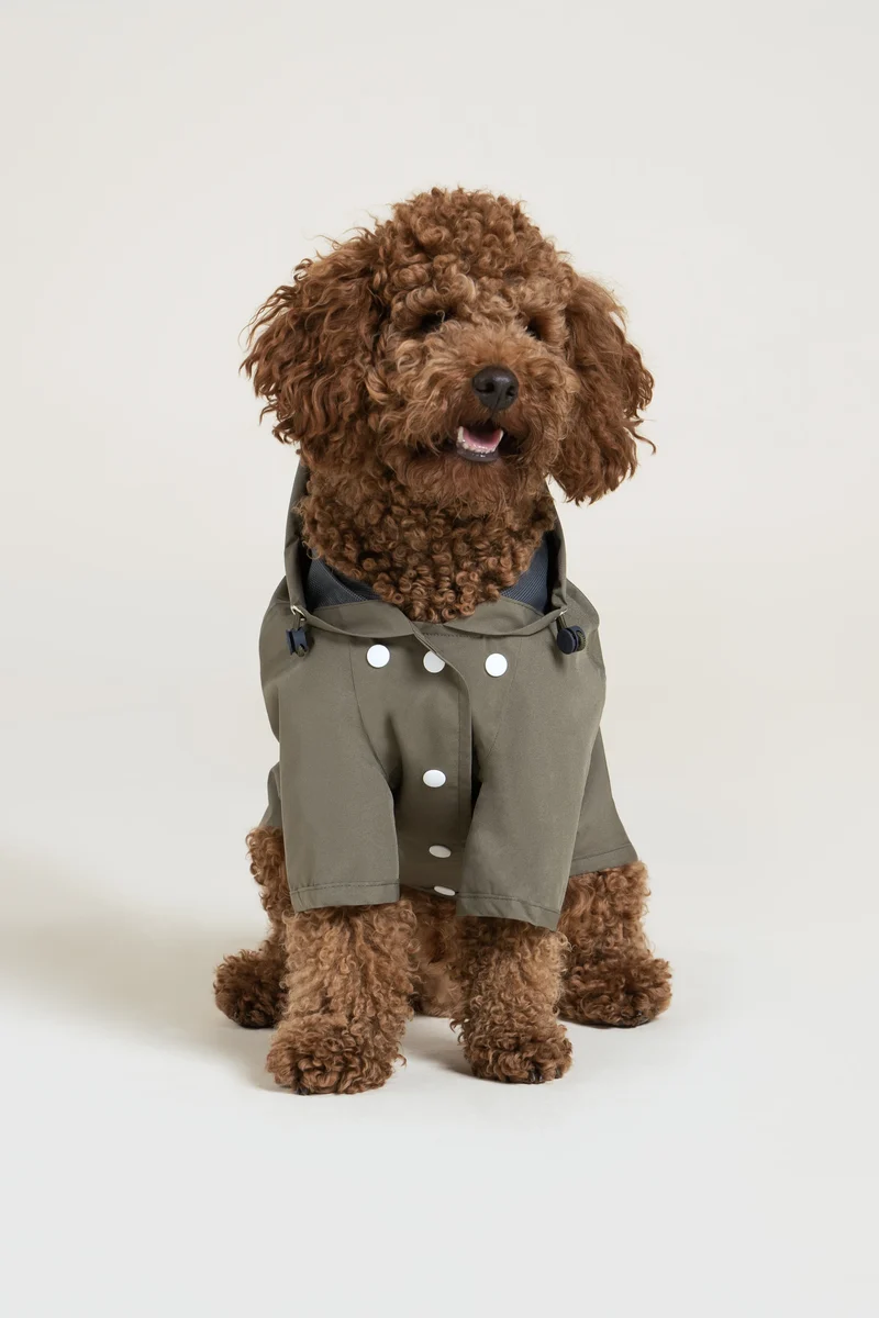 Boulogne - Imperméable pour chien