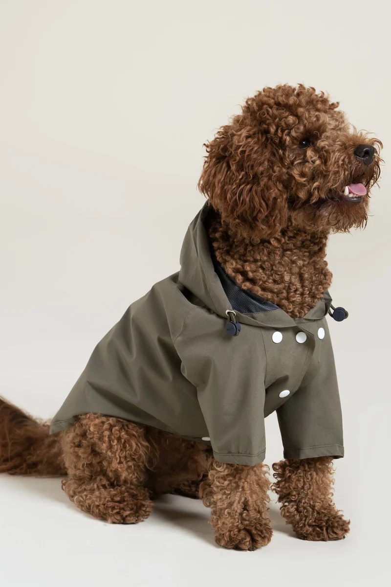 Boulogne - Imperméable pour chien