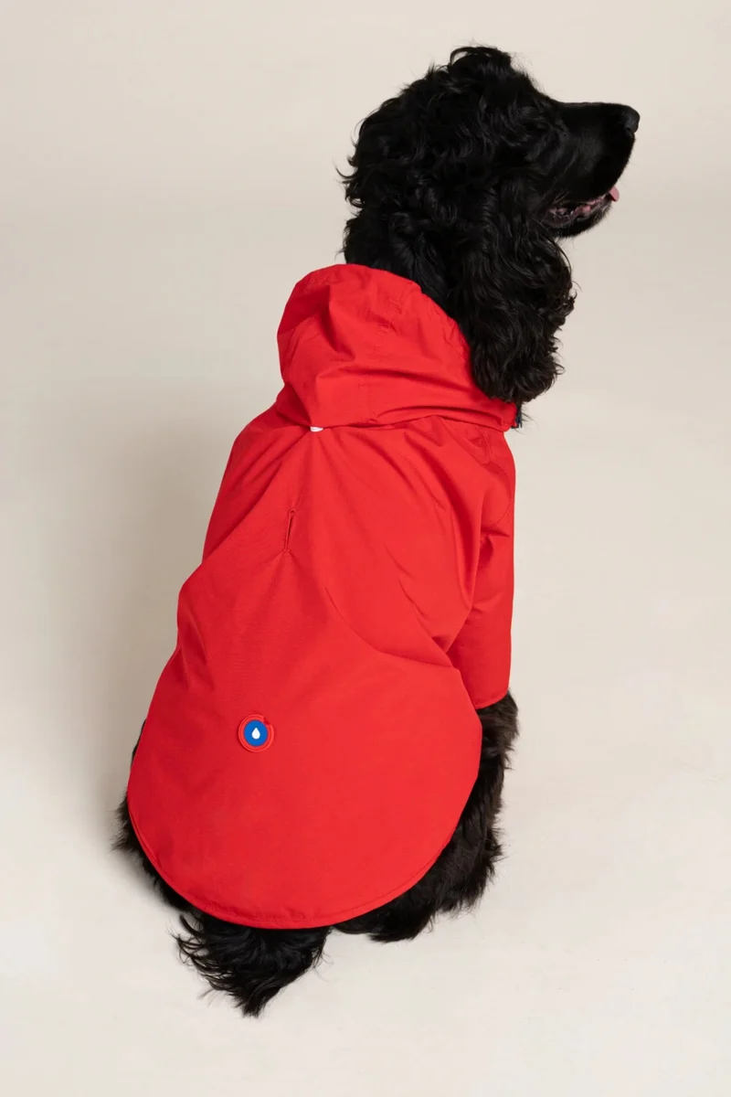 Boulogne - Imperméable pour chien