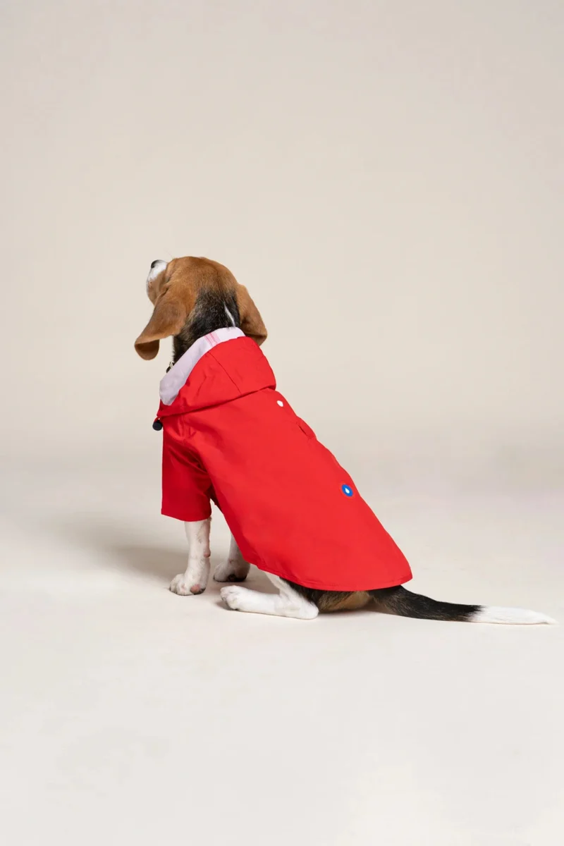 Boulogne - Imperméable pour chien