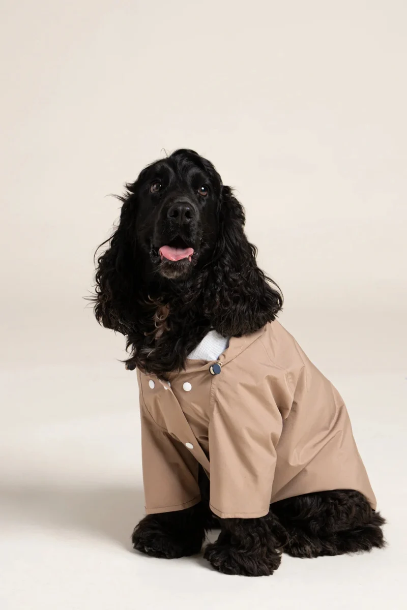 Boulogne - Imperméable pour chien