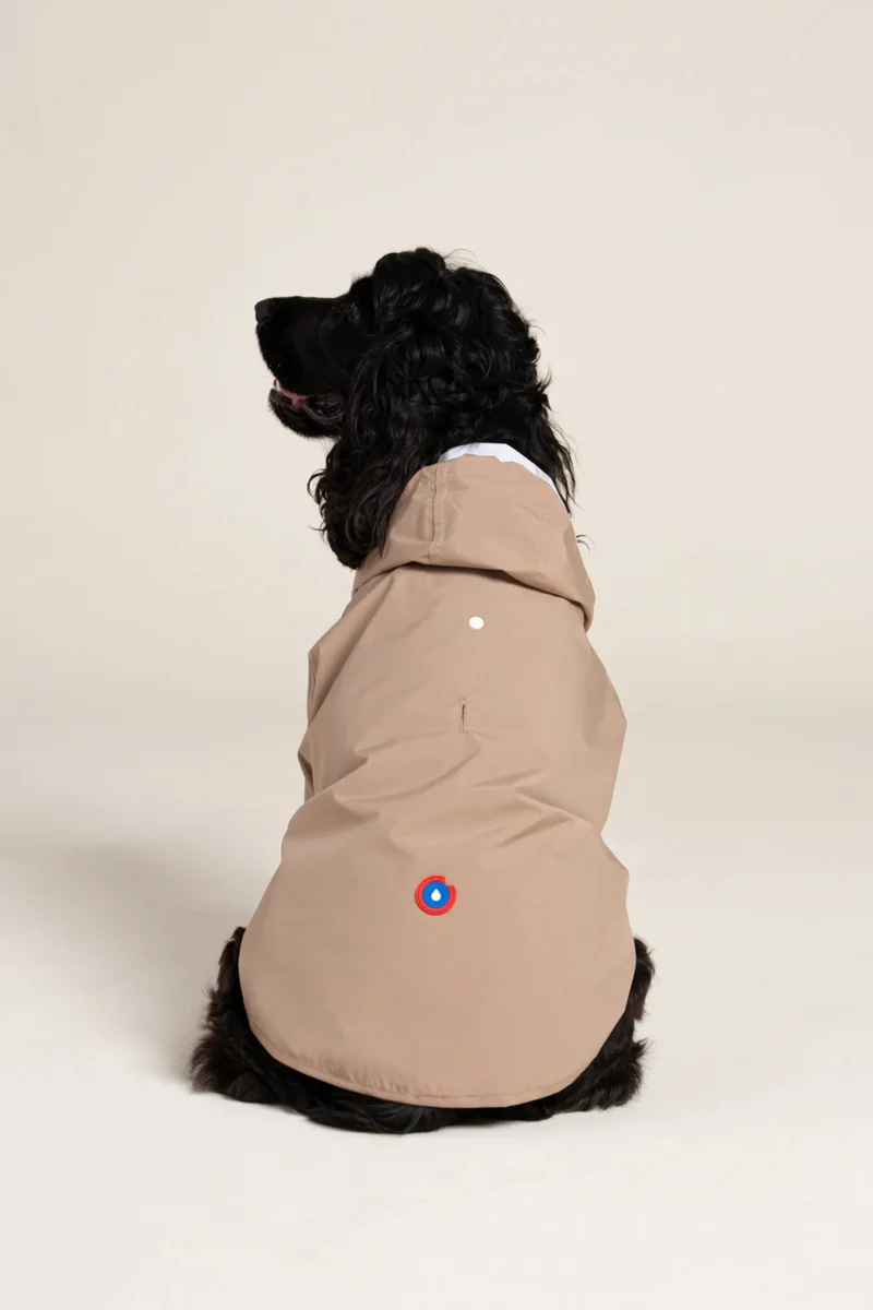 Boulogne - Imperméable pour chien
